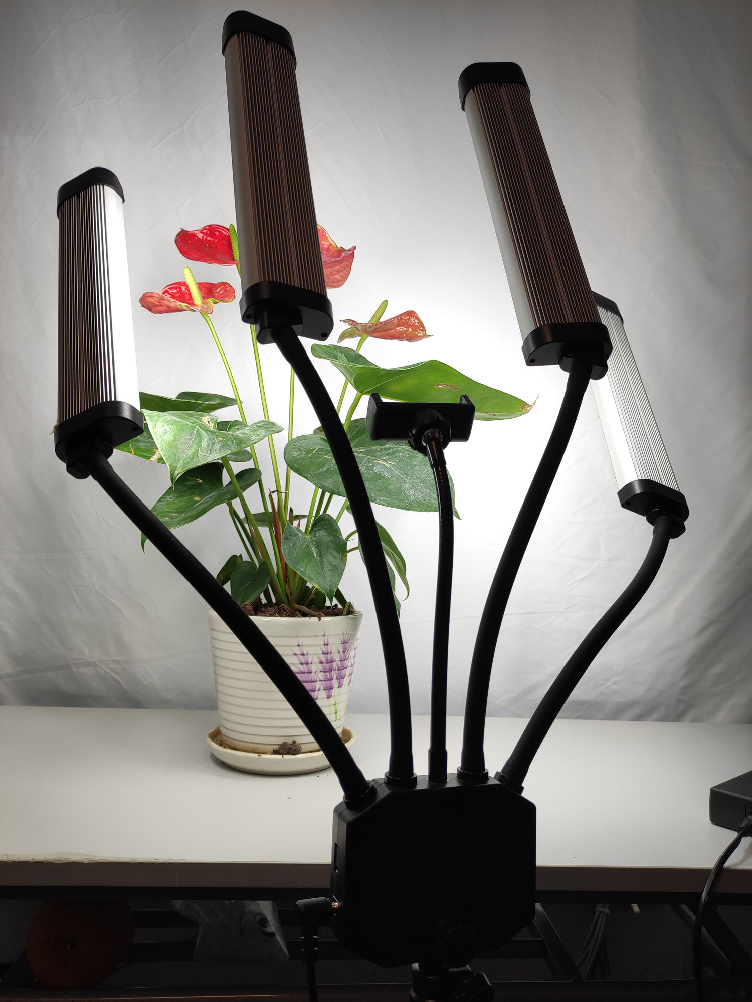 Lampada Bicolore 65W Professio - Beauty Makeup Video recensione e prezzo